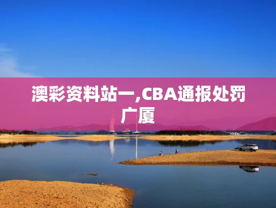 澳彩资料站一,CBA通报处罚广厦