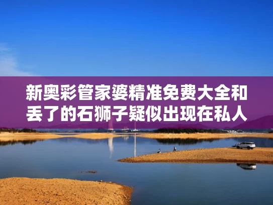 新奥彩管家婆精准免费大全和丢了的石狮子疑似出现在私人博物馆与石狮子丢了一个会有什么影响