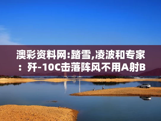 澳彩资料网:踏雪,凌波和专家：歼-10C击落阵风不用A射B导与歼10c能打过阵风吗