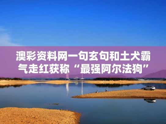 第455页