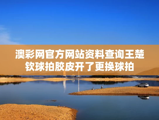 澳彩网官方网站资料查询	王楚钦球拍胶皮开了更换球拍