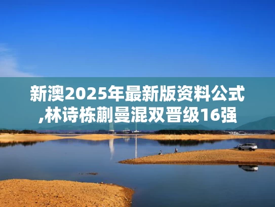 新澳2025年最新版资料公式,林诗栋蒯曼混双晋级16强