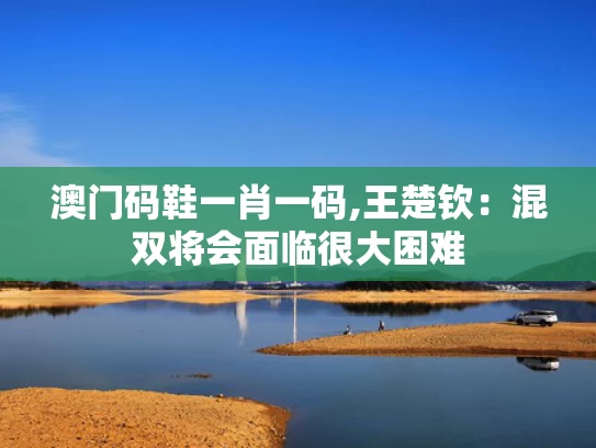澳门码鞋一肖一码,王楚钦：混双将会面临很大困难