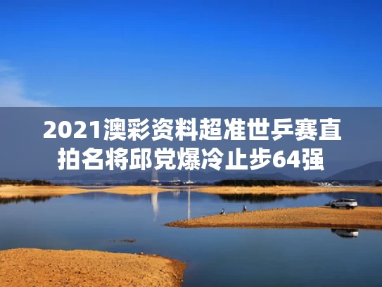 2021澳彩资料超准	世乒赛直拍名将邱党爆冷止步64强