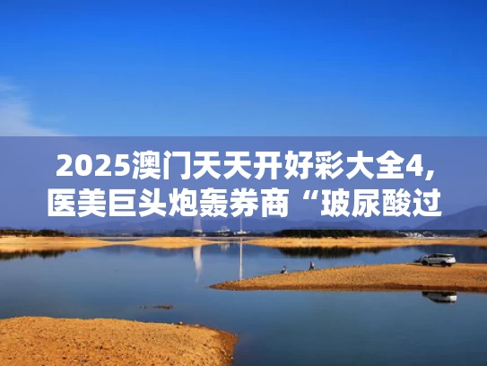 2025澳门天天开好彩大全4,医美巨头炮轰券商“玻尿酸过时”论