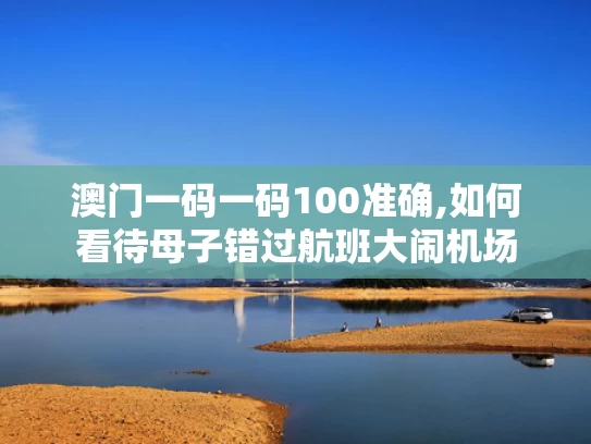 澳门一码一码100准确,如何看待母子错过航班大闹机场