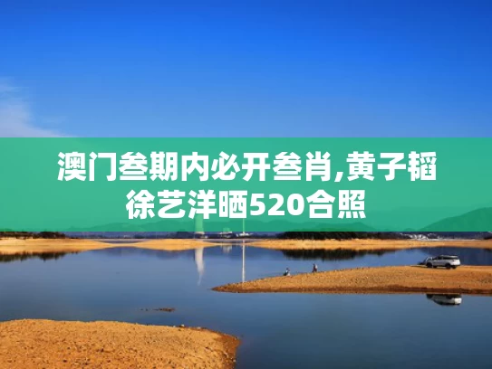 澳门叁期内必开叁肖,黄子韬徐艺洋晒520合照