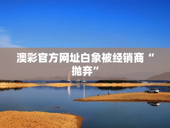 澳彩官方网址	白象被经销商“抛弃”