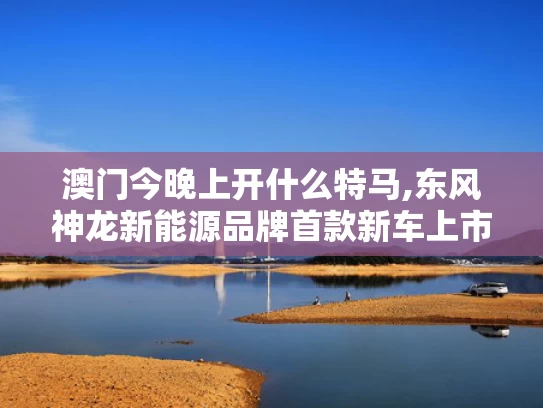 澳门今晚上开什么特马,东风神龙新能源品牌首款新车上市
