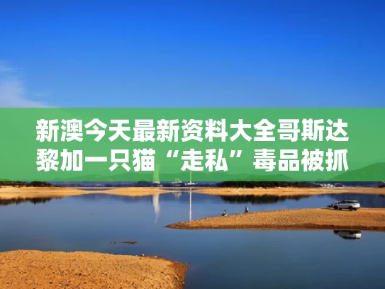 新澳今天最新资料大全	哥斯达黎加一只猫“走私”毒品被抓