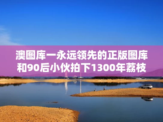 2025年5月30日 第181页