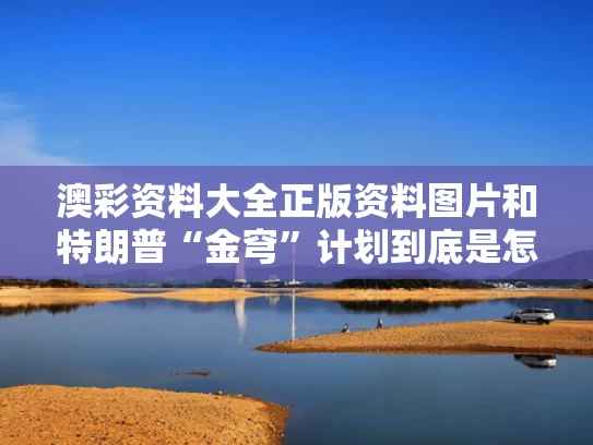 澳彩资料大全正版资料图片	和特朗普“金穹”计划到底是怎么回事与特朗普见金正