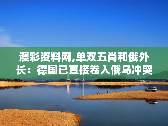 澳彩资料网,单双五肖和俄外长：德国已直接卷入俄乌冲突与德国与俄国战争