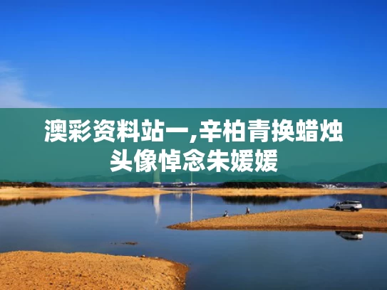 澳彩资料站一,辛柏青换蜡烛头像悼念朱媛媛