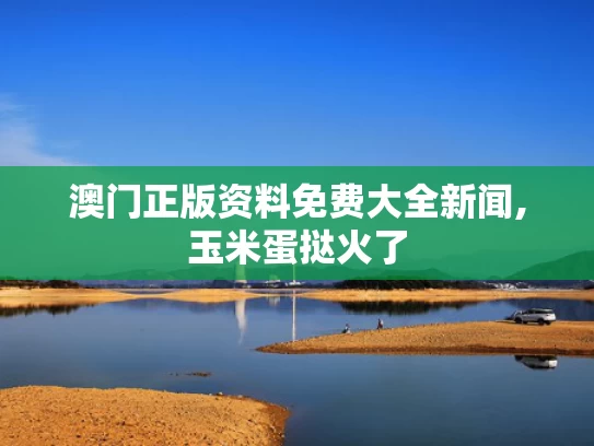 澳门正版资料免费大全新闻,玉米蛋挞火了