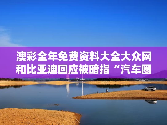 澳彩全年免费资料大全大众网	和比亚迪回应被暗指“汽车圈恒大”与