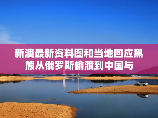 新澳最新资料图和当地回应黑熊从俄罗斯偷渡到中国与