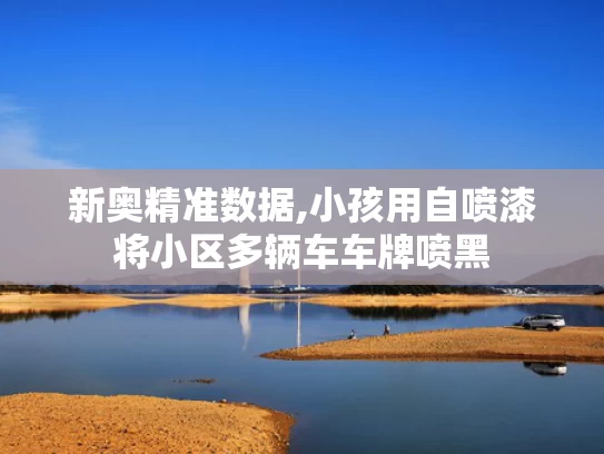 新奥精准数据,小孩用自喷漆将小区多辆车车牌喷黑