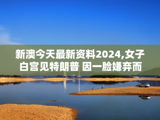 新澳今天最新资料2024,女子白宫见特朗普 因一脸嫌弃而走红