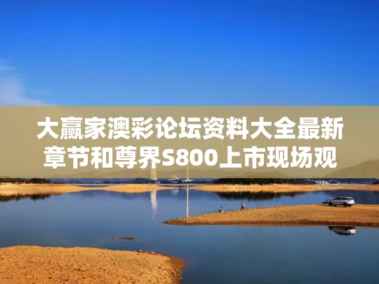 大赢家澳彩论坛资料大全最新章节	和尊界S800上市现场观众直呼好便宜与