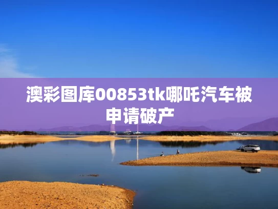 澳彩图库00853tk	哪吒汽车被申请破产