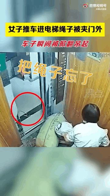 2025年正版资料免费大全和女子强拽小孩被刑拘与女子强拽小孩被刑拘视频