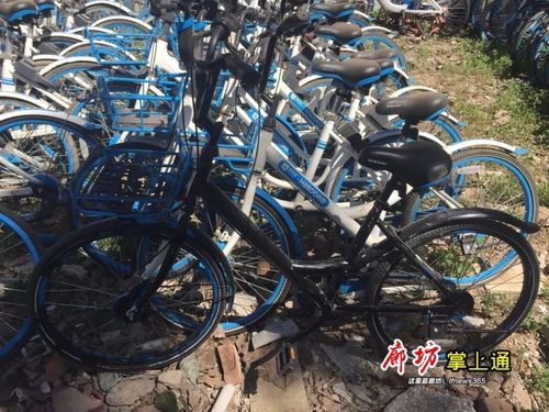 2025澳门特马开奖查询和坐共享单车车篮摔死与共享单车摔倒