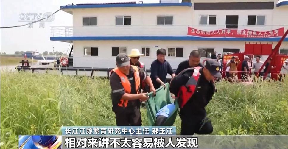 四不像正版资料2025和保护区里的疯狂垂钓与保护区里的疯狂垂钓是什么