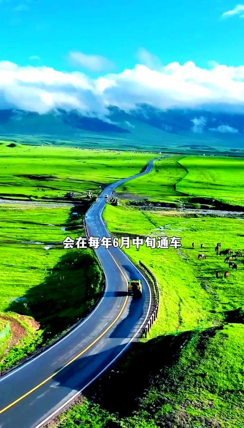 admin 第11页