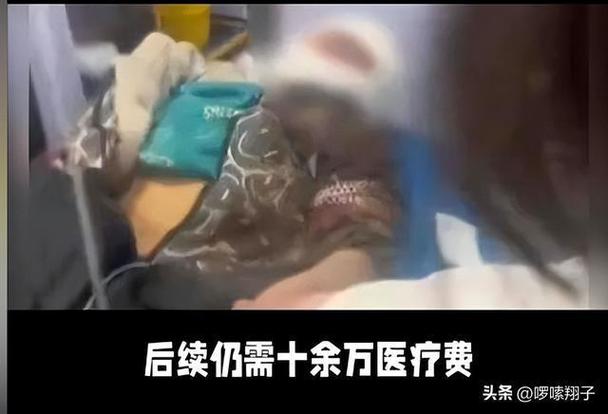新澳2025最新资料大全18和7岁男孩遭3只犬撕咬与7岁男孩遭3只犬撕咬怎么办