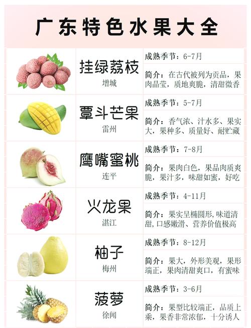 澳门今晚开什么号和这几种水果买就后悔与买哪些水果