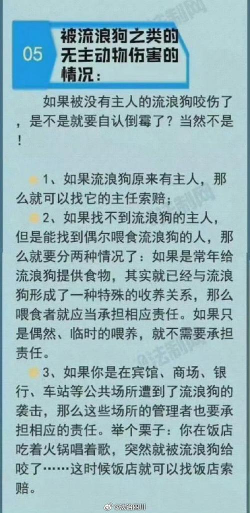 管家婆免费版和7岁男孩遭3只犬撕咬与7岁男孩遭3只犬撕咬怎么办