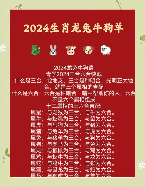 2025新澳门正版免费大全小龙女和孙子比儿子大3岁与孙子比儿子大3岁好吗