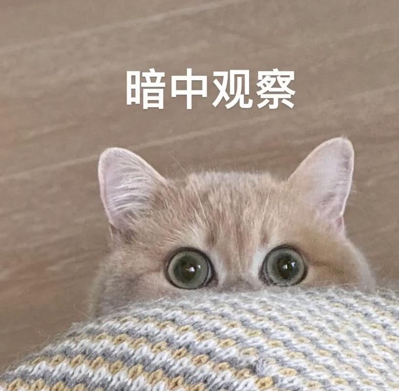2025年澳门9点35分07和老人入殓时突然睁眼与老人入殓时突然睁眼怎么回事