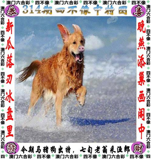 四不像正版资料2025和欠债欲卖千年裹尸布与
